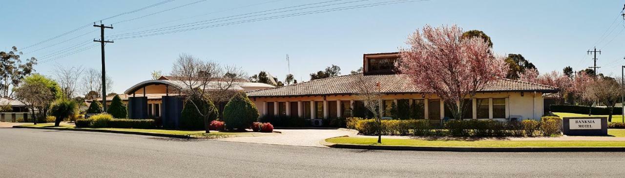 Banksia Motel Collie Bagian luar foto