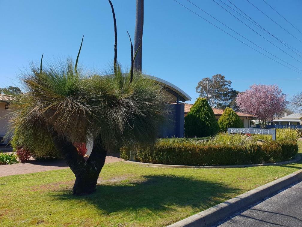 Banksia Motel Collie Bagian luar foto